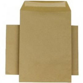 Brown A4 Envelope