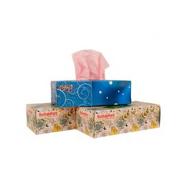Bashundhara Facial Tissue - 60X2 Ply